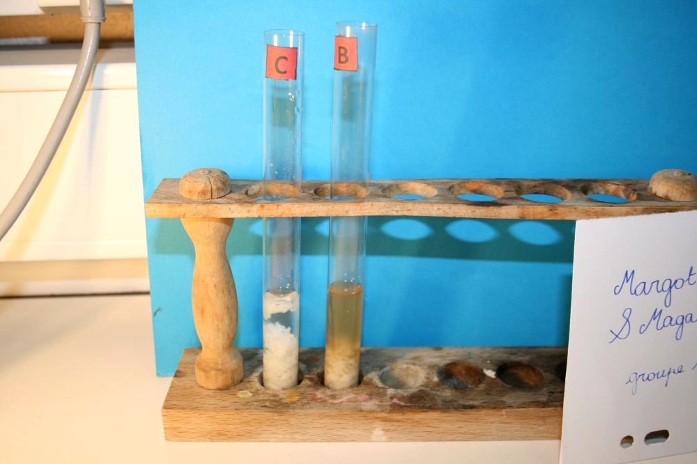 gal/LES_CINQUIEMES/ACTIVITE DIGESTION IN VITRO/Groupe_02/Groupe02_T_00h00min/Groupe02_temps__H__min_11.jpg